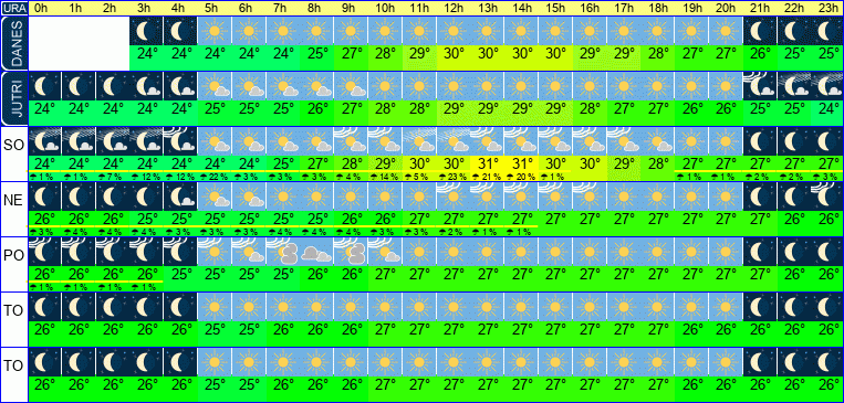 Vreme po urah 7 dni