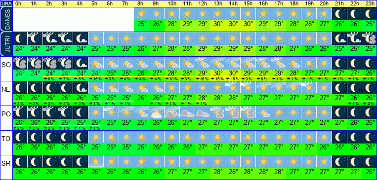 Vreme po urah 7 dni