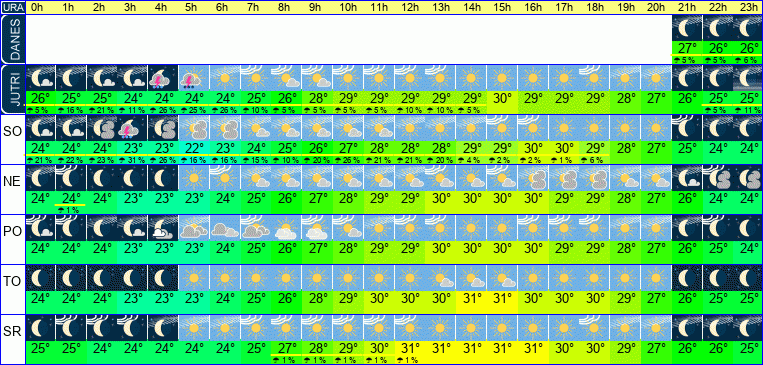 Vreme po urah 7 dni