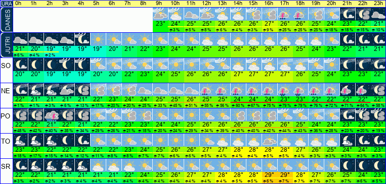 Vreme po urah 7 dni